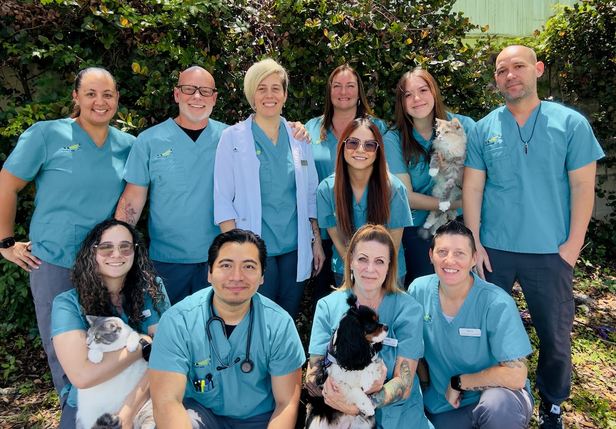 Lighthouse Pet Clinic staff