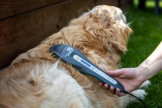 Laser Therapy