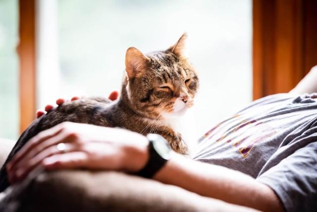 Compassionate End of Life Care
