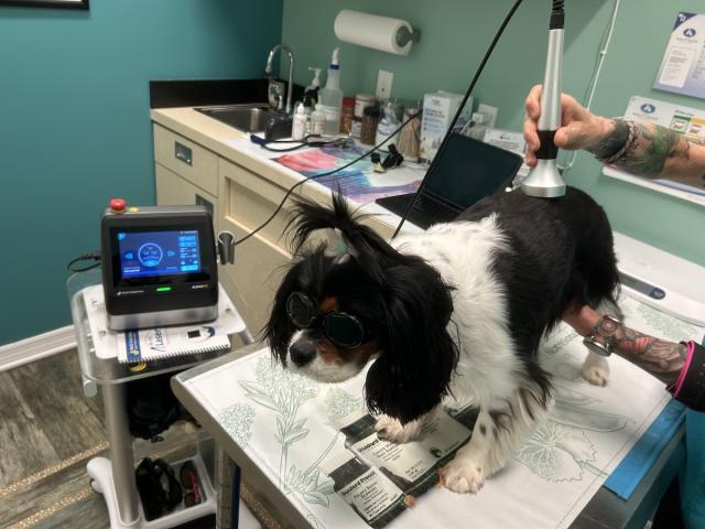 Laser Therapy