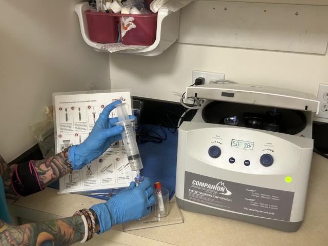 PRP (Platelet-Rich Plasma)